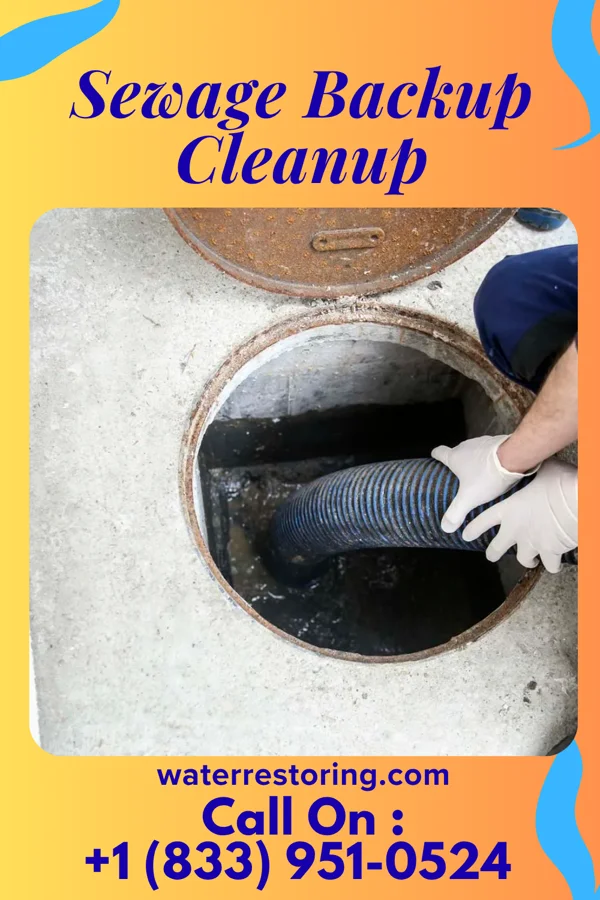 Sewage Backup Cleanup in Elmira, NY