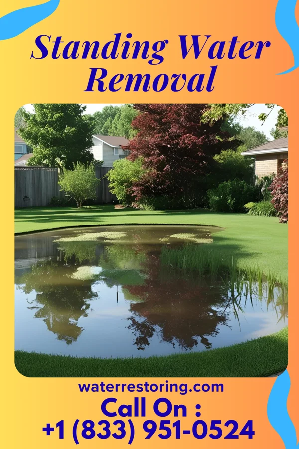 Standing Water Removal in Elmira, NY